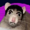 Qantain avatar
