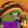 grog_cool avatar