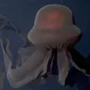 blu avatar