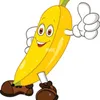 SeigneurBOL avatar