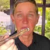 milfschnitte avatar