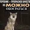 ПЕТРО ОБІТО avatar