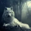 AlexTheDragon avatar
