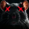 rat remover avatar