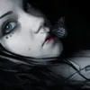 Amour avatar