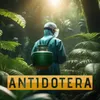 ./ avatar
