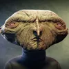 nomayo avatar