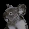 Bosa avatar