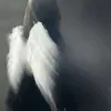 whydoyoutry??? avatar