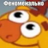 - CZ avatar