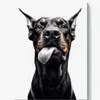 aka_doberman avatar