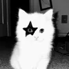 i36 avatar
