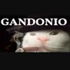 Dotabuff47% avatar
