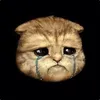 it`s time to sleep avatar