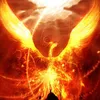 Phoenix #12 avatar