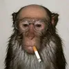 z4vodsk0y avatar