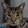 ZYGZEL avatar
