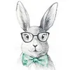 SfinMallepKatz avatar