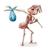 polina avatar