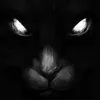 WetWallpaper avatar