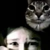 Sorelius avatar