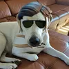 Cikanavicius avatar