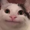 Fishyno avatar