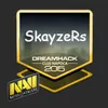 SkayzerS avatar