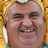 efi the tiger avatar