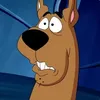 Scoober avatar