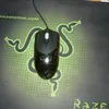 rasplans254 §§§ sonjAAAA ︻芫==一 avatar