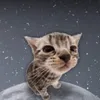 Nevo avatar