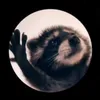 Frytixx avatar
