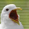 АГАААААААААААААА avatar