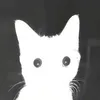 Kronnoz_27 ツ avatar