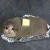 NiiB3 avatar
