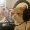 DuM DuMbI4 avatar