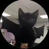 Feniks303 avatar