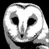 z0ma avatar