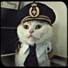 Ilya Isaenya avatar