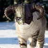 lvansun avatar