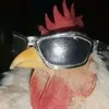 plip_plop_ avatar