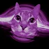 миноно avatar