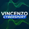 vincenzo avatar