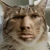 Мужик avatar