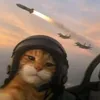 Gato a Jato avatar