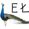 ykuluqocuxofi avatar