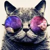 ky0 avatar