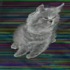 NoPo11 avatar
