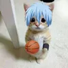 onumer avatar